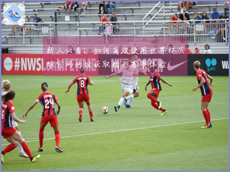 新人必看：如何高效使用世界杯买球官网地址获取精彩赛事体验