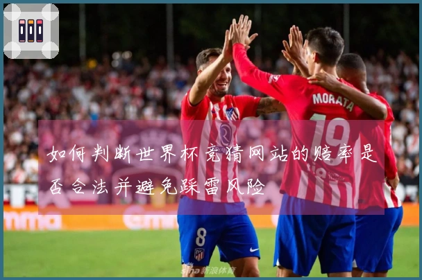 如何判断世界杯竞猜网站的赔率是否合法并避免踩雷风险