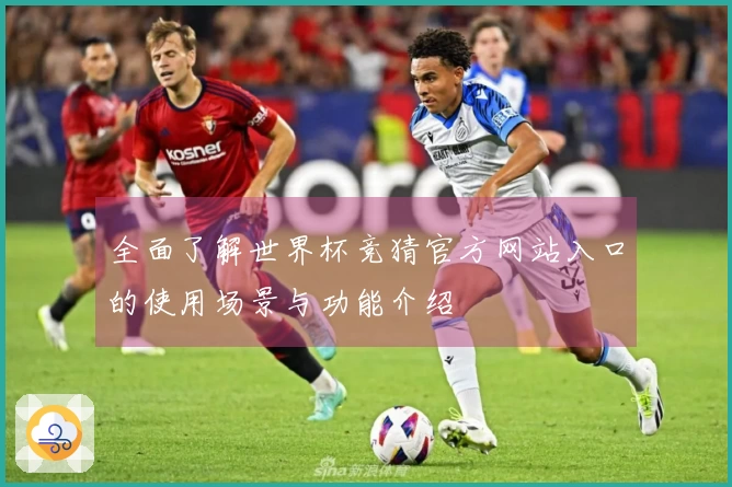 全面了解世界杯竞猜官方网站入口的使用场景与功能介绍