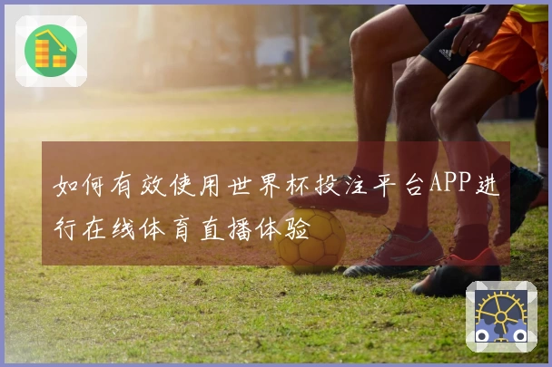 如何有效使用世界杯投注平台APP进行在线体育直播体验