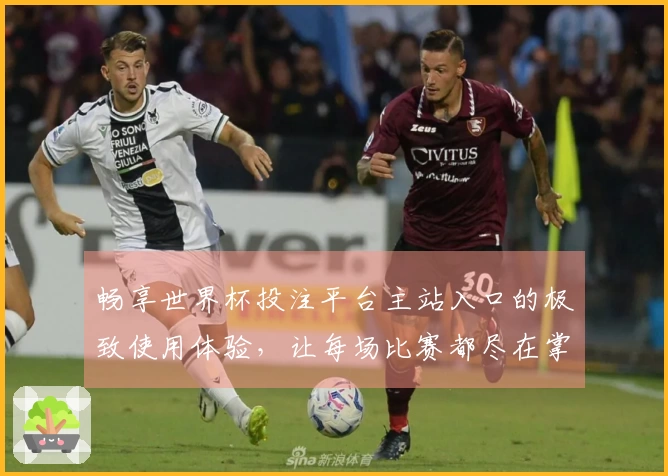 畅享世界杯投注平台主站入口的极致使用体验，让每场比赛都尽在掌握