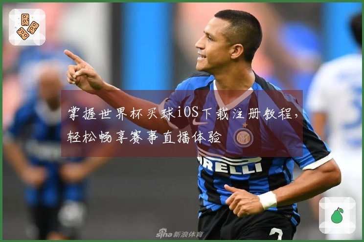 掌握世界杯买球iOS下载注册教程，轻松畅享赛事直播体验