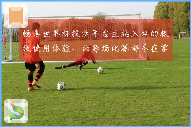 畅享世界杯投注平台主站入口的极致使用体验，让每场比赛都尽在掌握