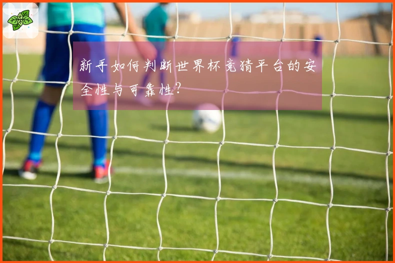 新手如何判断世界杯竞猜平台的安全性与可靠性?