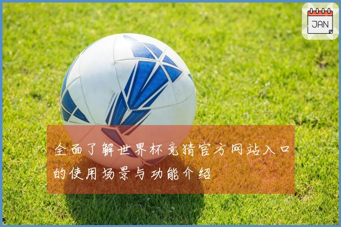 全面了解世界杯竞猜官方网站入口的使用场景与功能介绍