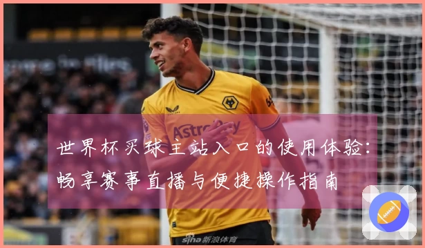 世界杯买球主站入口的使用体验：畅享赛事直播与便捷操作指南