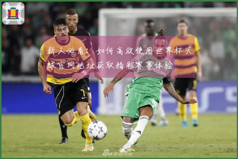 新人必看：如何高效使用世界杯买球官网地址获取精彩赛事体验