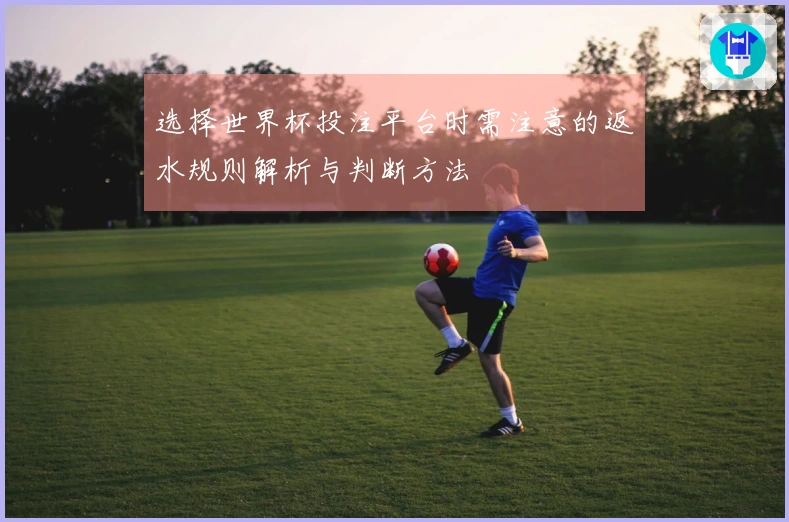 选择世界杯投注平台时需注意的返水规则解析与判断方法